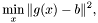 \[\min_x \|g(x)-b\|^2,\]